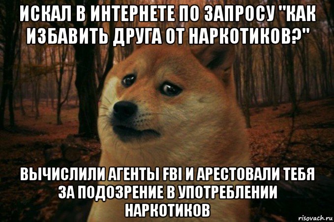 искал в интернете по запросу "как избавить друга от наркотиков?" вычислили агенты fbi и арестовали тебя за подозрение в употреблении наркотиков, Мем SAD DOGE