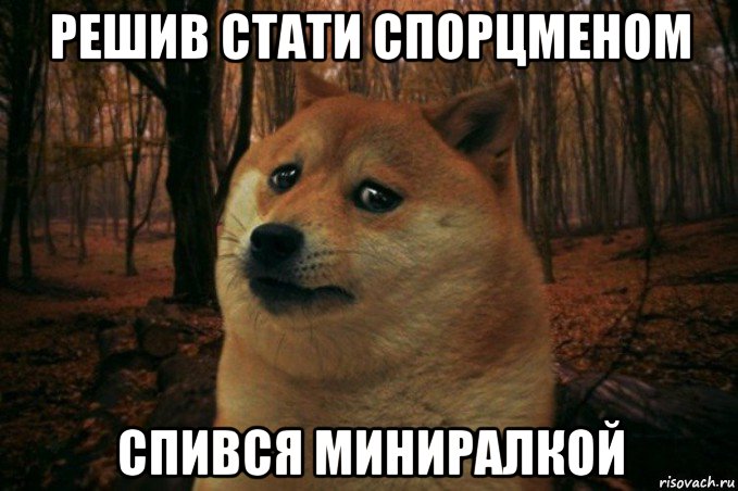 решив стати спорцменом спився миниралкой, Мем SAD DOGE