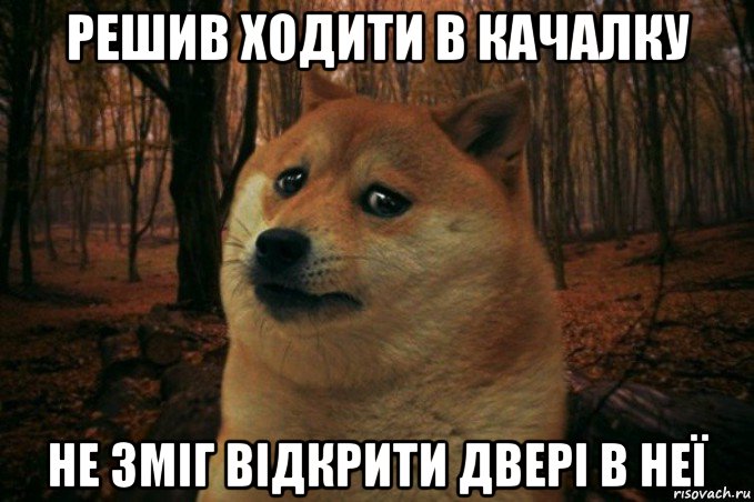 решив ходити в качалку не зміг відкрити двері в неї, Мем SAD DOGE