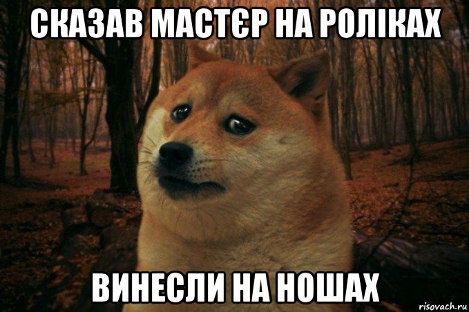 сказав мастєр на роліках винесли на ношах, Мем SAD DOGE