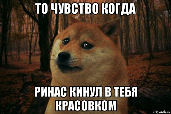 то чувство когда ринас кинул в тебя красовком, Мем SAD DOGE