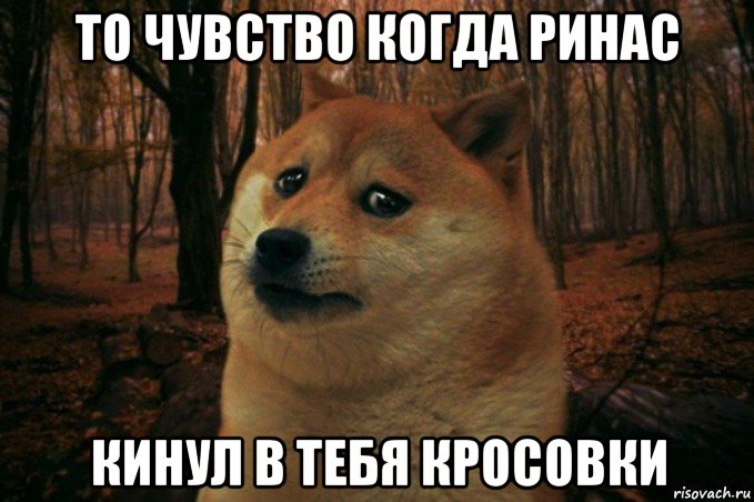 то чувство когда ринас кинул в тебя кросовки, Мем SAD DOGE