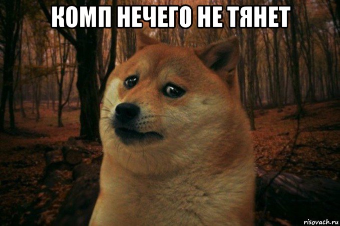 комп нечего не тянет , Мем SAD DOGE