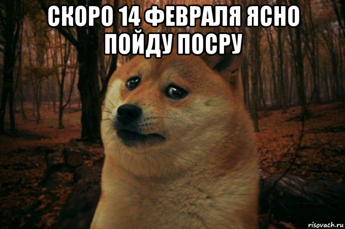 скоро 14 февраля ясно пойду посру , Мем SAD DOGE