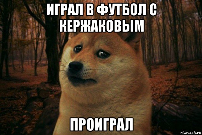 играл в футбол с кержаковым проиграл, Мем SAD DOGE