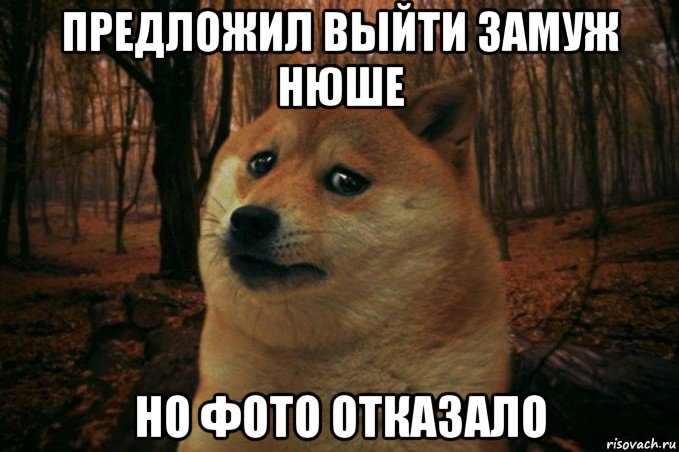 предложил выйти замуж нюше но фото отказало, Мем SAD DOGE