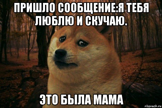 пришло сообщение:я тебя люблю и скучаю. это была мама, Мем SAD DOGE