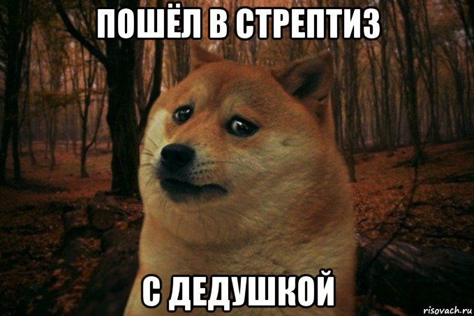 пошёл в стрептиз с дедушкой, Мем SAD DOGE