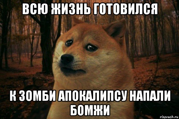 всю жизнь готовился к зомби апокалипсу напали бомжи, Мем SAD DOGE