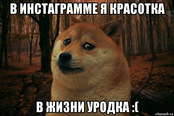 в инстаграмме я красотка в жизни уродка :(, Мем SAD DOGE