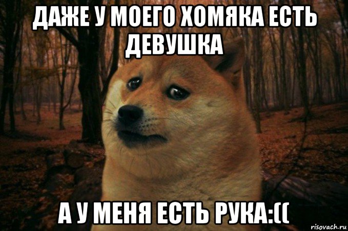 даже у моего хомяка есть девушка а у меня есть рука:((, Мем SAD DOGE