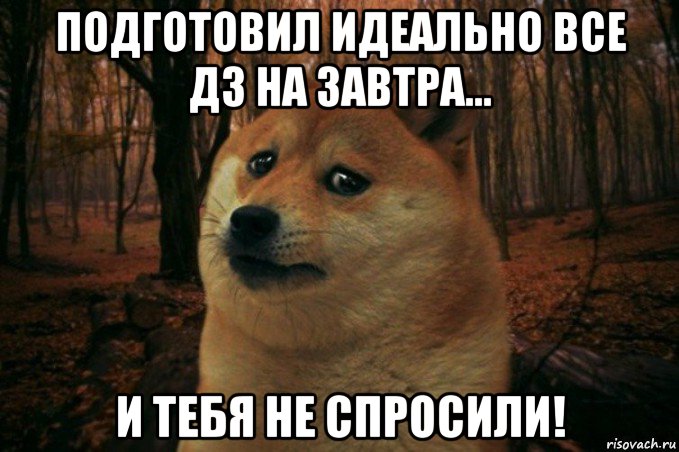 подготовил идеально все дз на завтра... и тебя не спросили!, Мем SAD DOGE