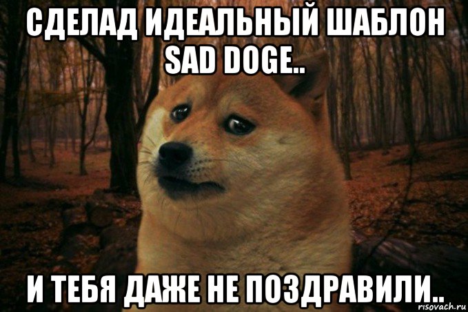 сделад идеальный шаблон sad doge.. и тебя даже не поздравили.., Мем SAD DOGE