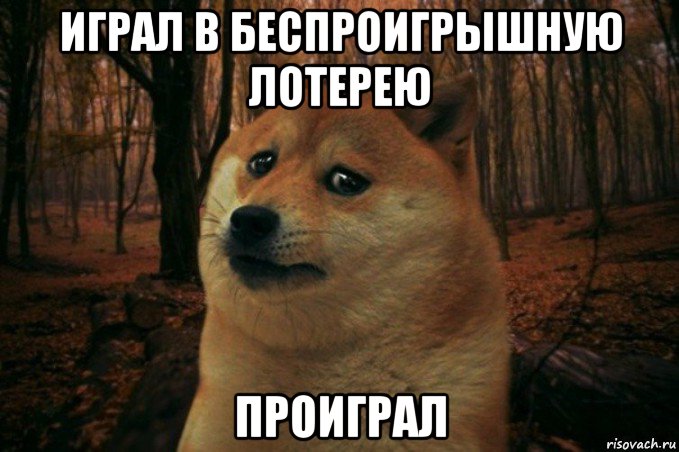 играл в беспроигрышную лотерею проиграл, Мем SAD DOGE