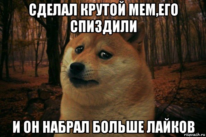 сделал крутой мем,его спиздили и он набрал больше лайков, Мем SAD DOGE