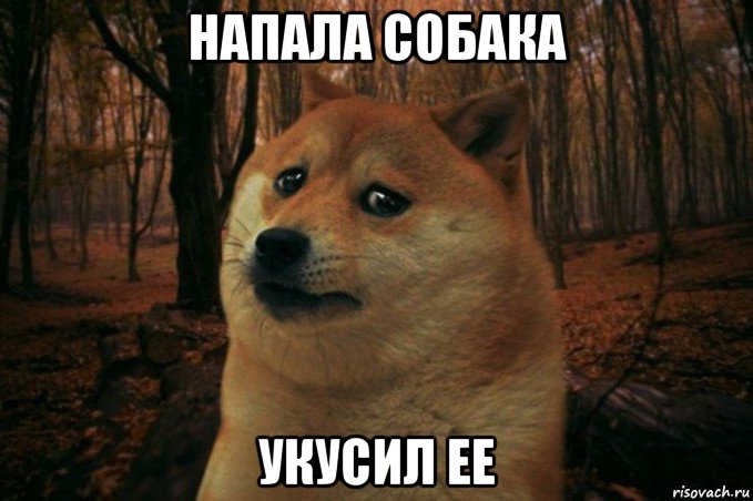 напала собака укусил ее, Мем SAD DOGE