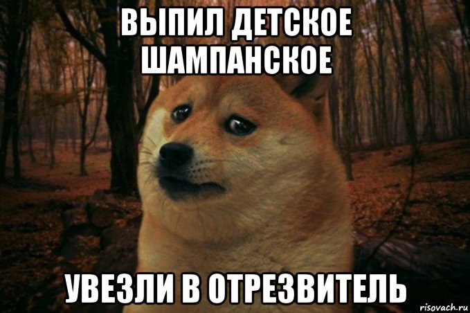 выпил детское шампанское увезли в отрезвитель, Мем SAD DOGE