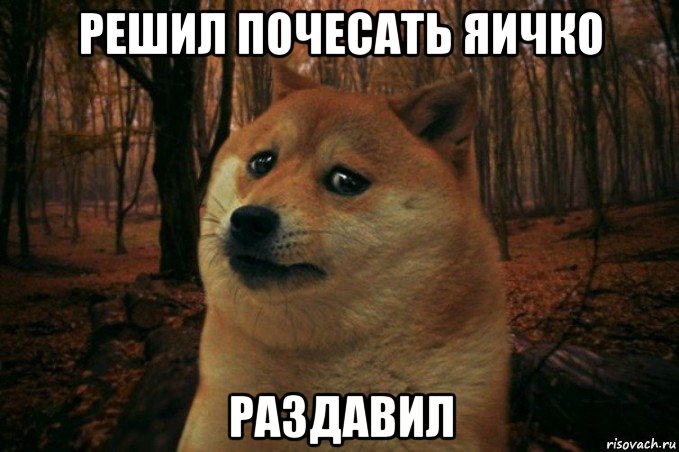 решил почесать яичко раздавил, Мем SAD DOGE