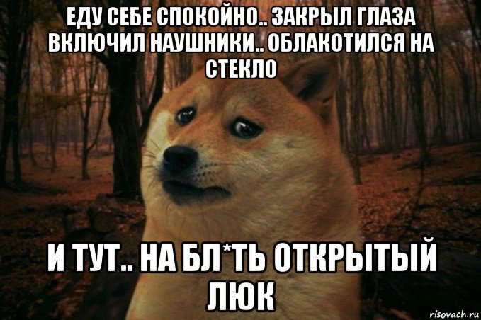 еду себе спокойно.. закрыл глаза включил наушники.. облакотился на стекло и тут.. на бл*ть открытый люк, Мем SAD DOGE