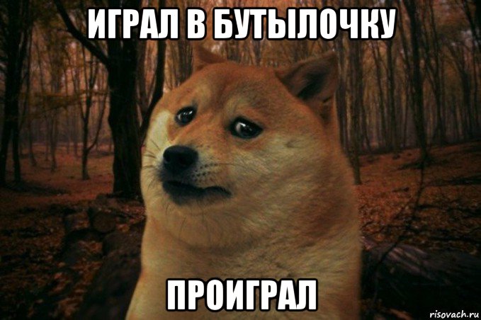 играл в бутылочку проиграл, Мем SAD DOGE