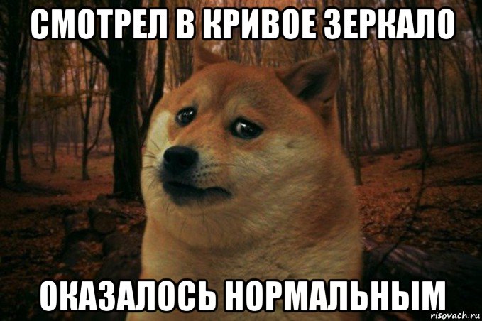 смотрел в кривое зеркало оказалось нормальным, Мем SAD DOGE