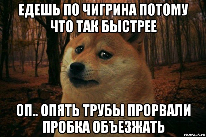 едешь по чигрина потому что так быстрее оп.. опять трубы прорвали пробка объезжать, Мем SAD DOGE