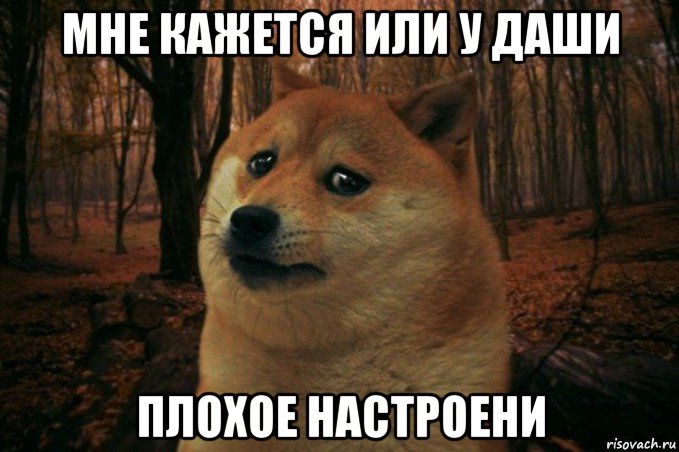 мне кажется или у даши плохое настроени, Мем SAD DOGE