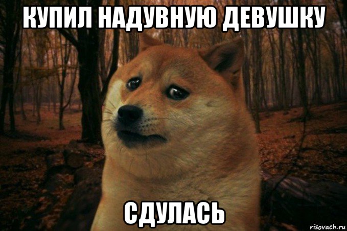 купил надувную девушку сдулась, Мем SAD DOGE