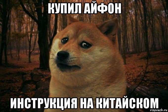 купил айфон инструкция на китайском, Мем SAD DOGE