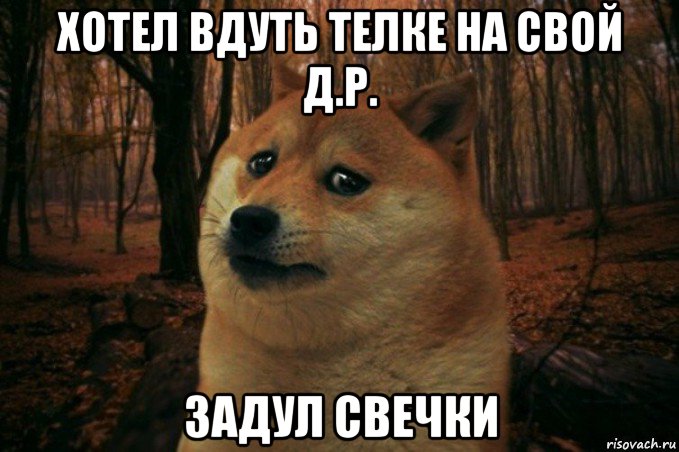 хотел вдуть телке на свой д.р. задул свечки, Мем SAD DOGE