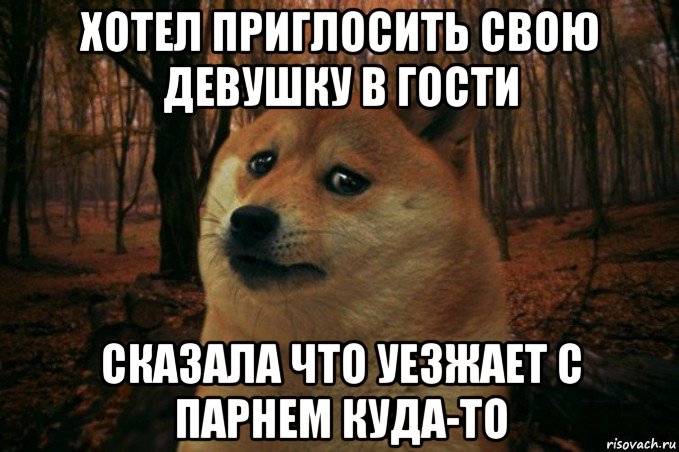 хотел приглосить свою девушку в гости сказала что уезжает с парнем куда-то, Мем SAD DOGE