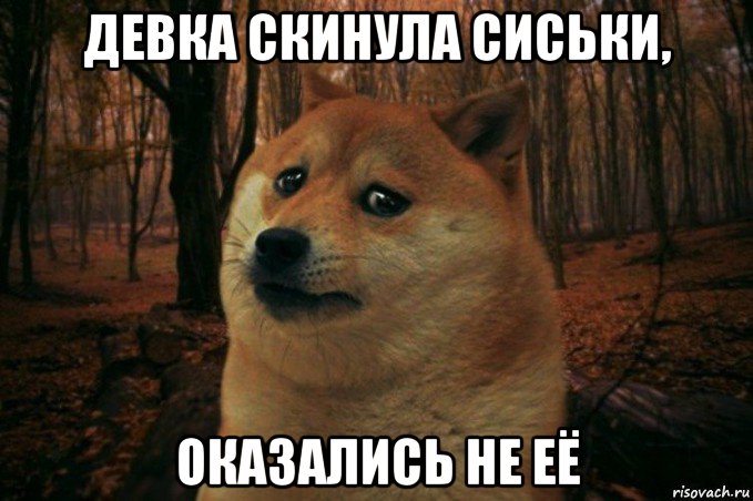 девка скинула сиськи, оказались не её, Мем SAD DOGE