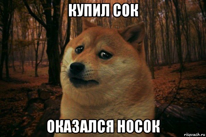 купил сок оказался носок, Мем SAD DOGE