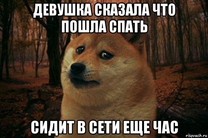 девушка сказала что пошла спать сидит в сети еще час, Мем SAD DOGE