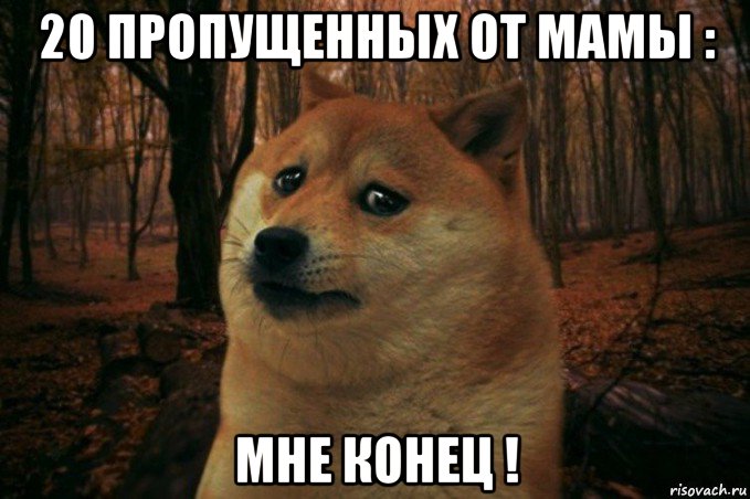 20 пропущенных от мамы : мне конец !, Мем SAD DOGE