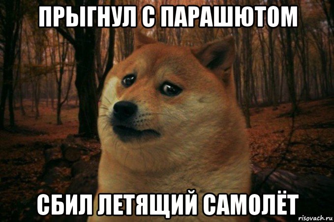 прыгнул с парашютом сбил летящий самолёт, Мем SAD DOGE