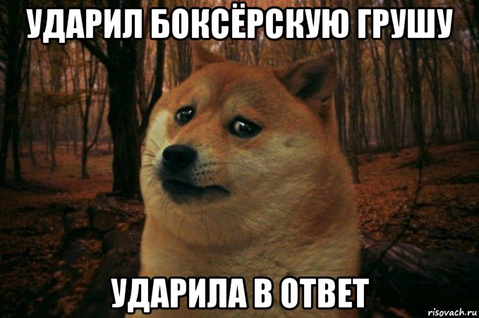 ударил боксёрскую грушу ударила в ответ, Мем SAD DOGE