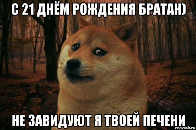 с 21 днём рождения братан) не завидуют я твоей печени, Мем SAD DOGE