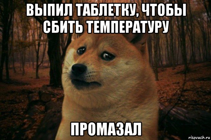 выпил таблетку, чтобы сбить температуру промазал, Мем SAD DOGE