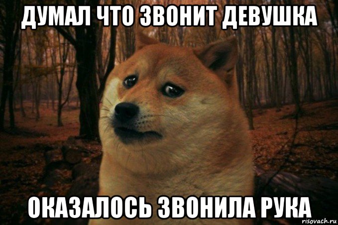 думал что звонит девушка оказалось звонила рука, Мем SAD DOGE