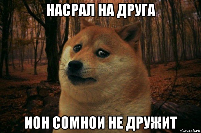 насрал на друга ион сомнои не дружит, Мем SAD DOGE