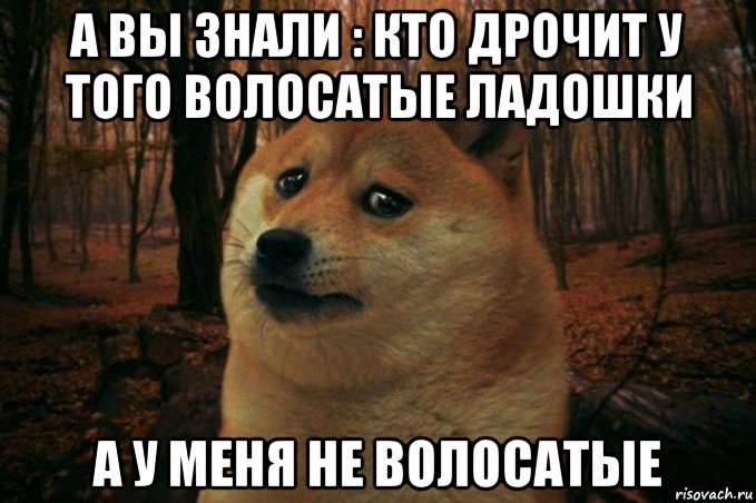 а вы знали : кто дрочит у того волосатые ладошки а у меня не волосатые, Мем SAD DOGE