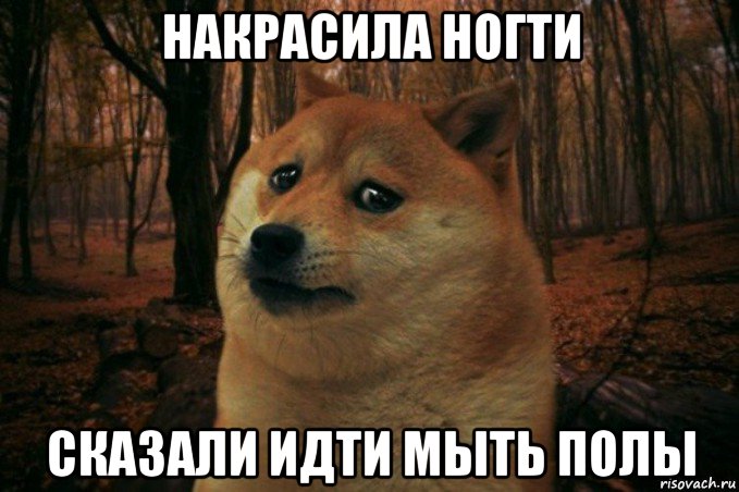 накрасила ногти сказали идти мыть полы, Мем SAD DOGE