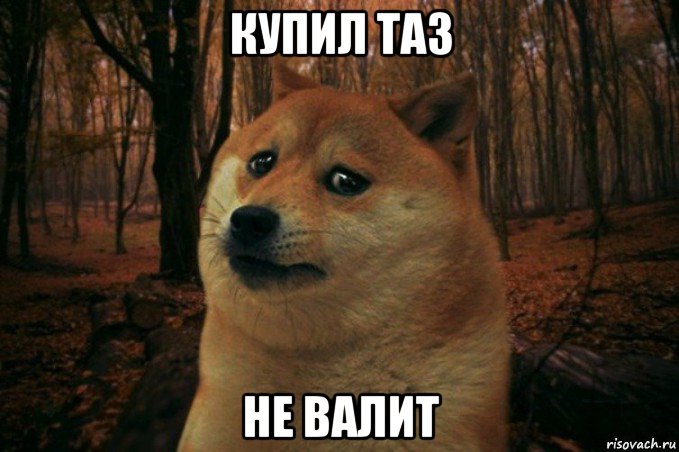 купил таз не валит, Мем SAD DOGE