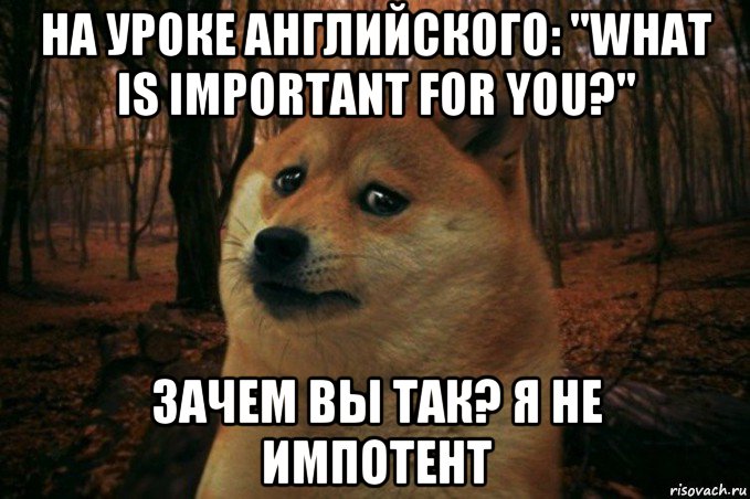 на уроке английского: "what is important for you?" зачем вы так? я не импотент, Мем SAD DOGE