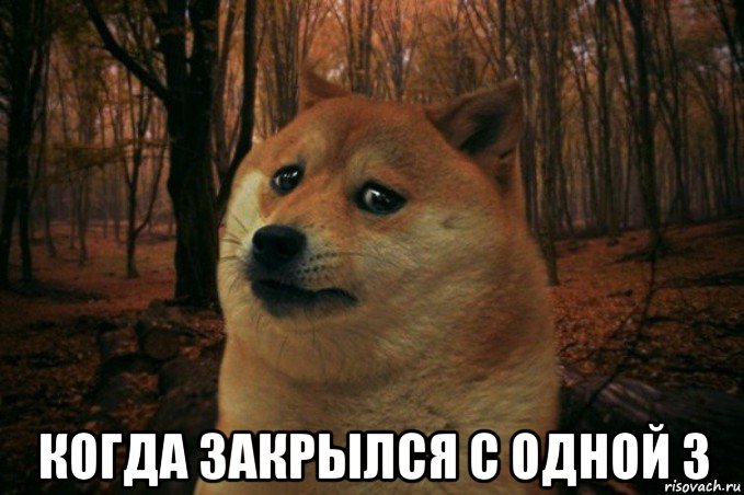  когда закрылся с одной 3, Мем SAD DOGE