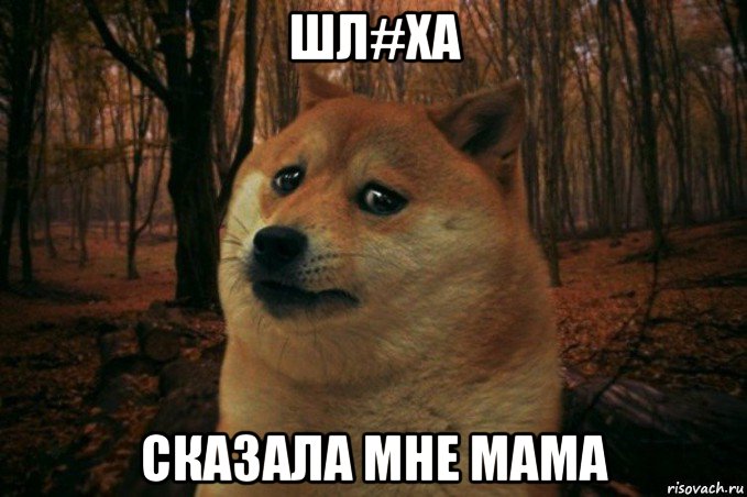 шл#ха сказала мне мама, Мем SAD DOGE