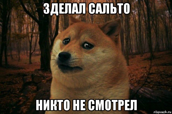 зделал сальто никто не смотрел, Мем SAD DOGE