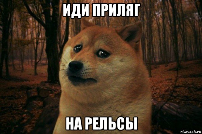 иди приляг на рельсы, Мем SAD DOGE