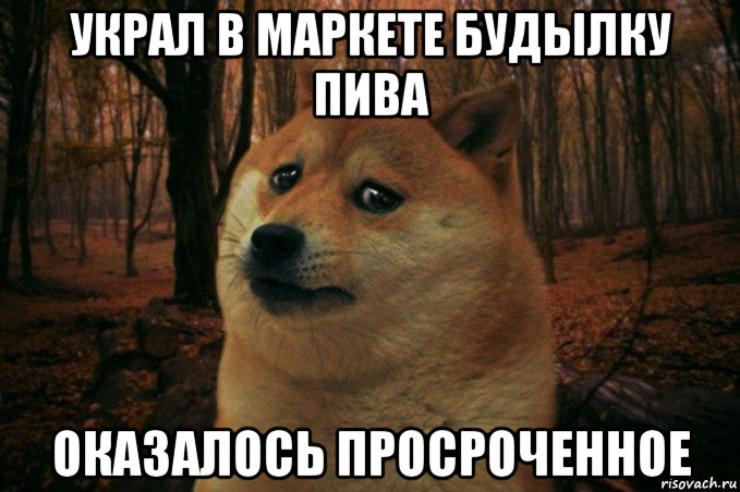 украл в маркете будылку пива оказалось просроченное, Мем SAD DOGE